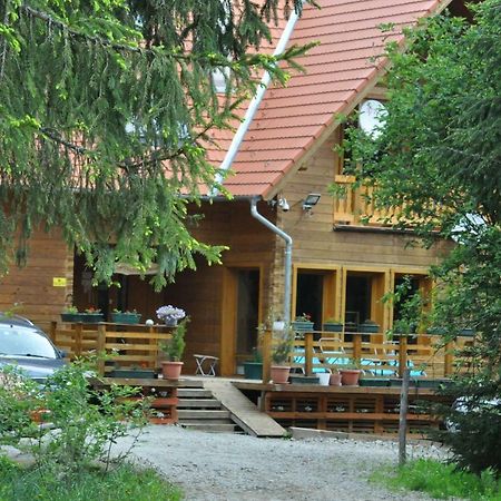 Mofetta Panzio Bed & Breakfast Sintimbru-Bai Bagian luar foto