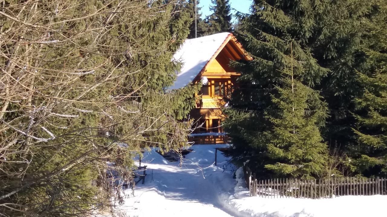 Mofetta Panzio Bed & Breakfast Sintimbru-Bai Bagian luar foto