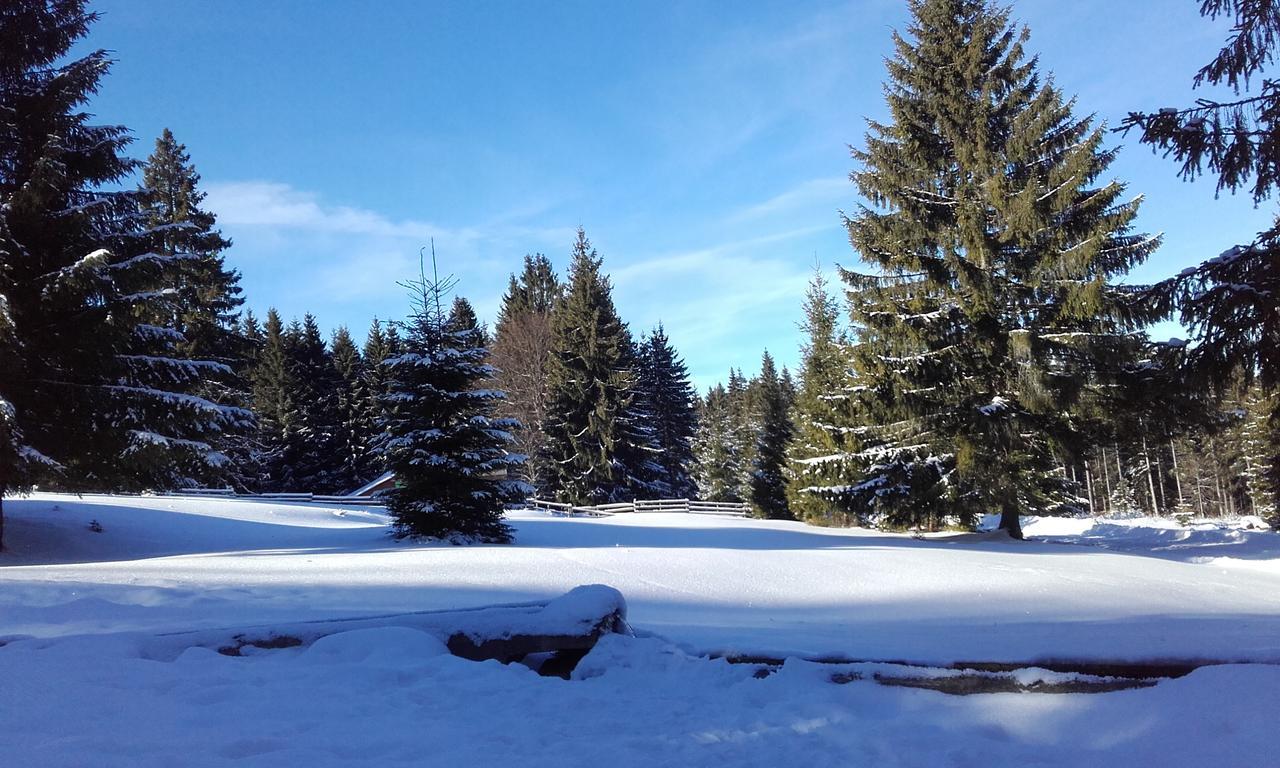 Mofetta Panzio Bed & Breakfast Sintimbru-Bai Bagian luar foto