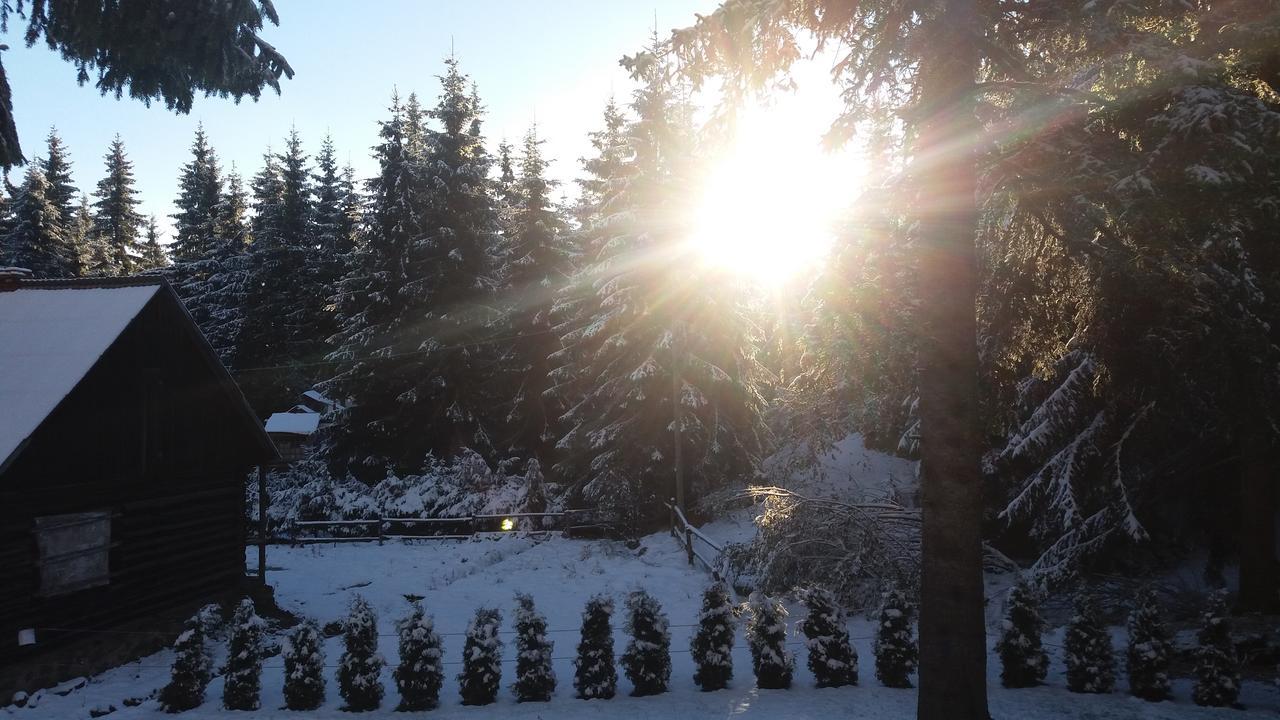 Mofetta Panzio Bed & Breakfast Sintimbru-Bai Bagian luar foto
