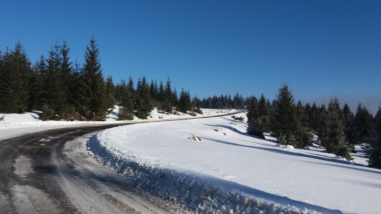 Mofetta Panzio Bed & Breakfast Sintimbru-Bai Bagian luar foto